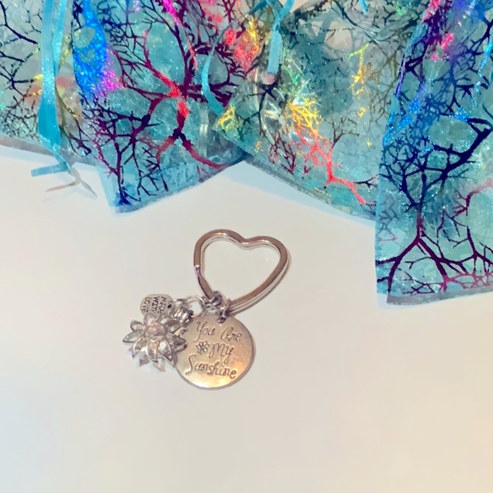 You are my Sunshine Charm Heart Keychain